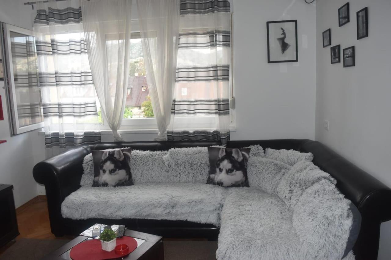 Apartment Tea Cetinje Bagian luar foto